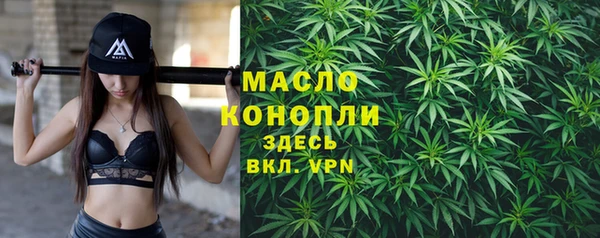 гашик Белокуриха