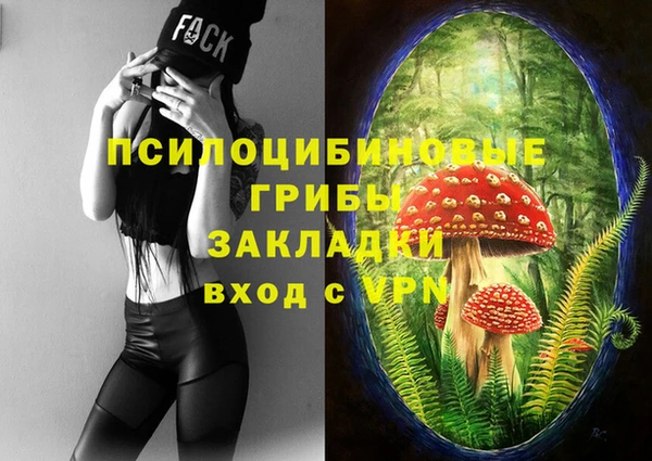 гашик Белокуриха